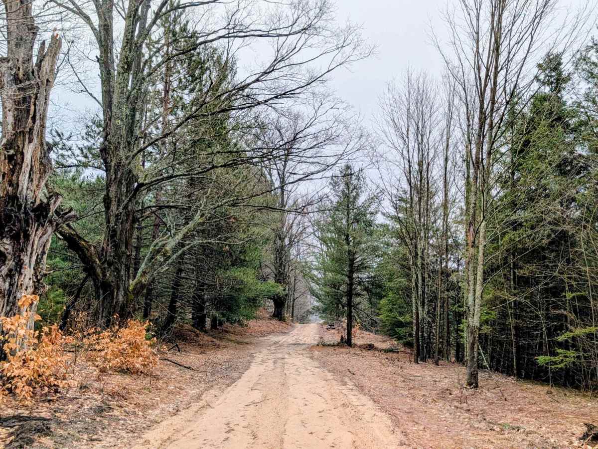 Mitchell Road Southeast trail photo