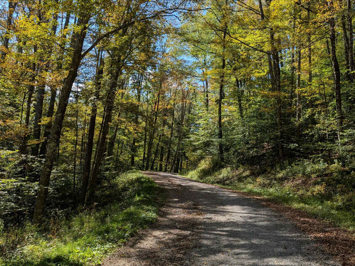 Laurel Fork Overlook photo 4