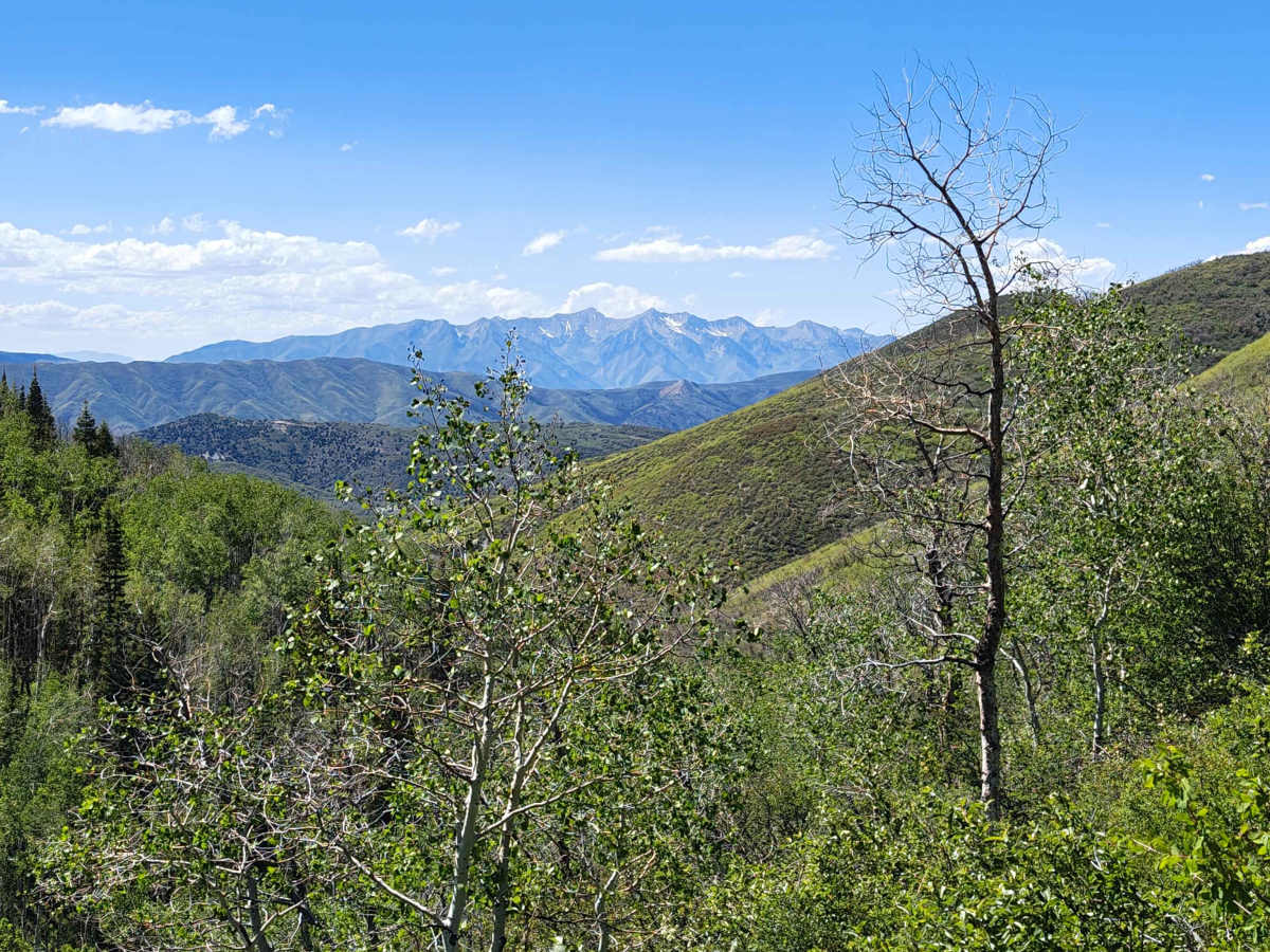 Center GWT 009 - Strawberry Reservoir - Single Track photo 6