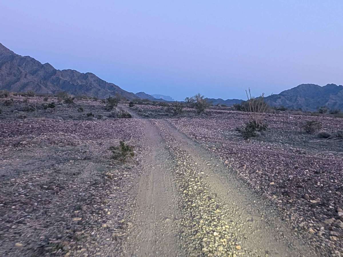 EC1262 trail photo