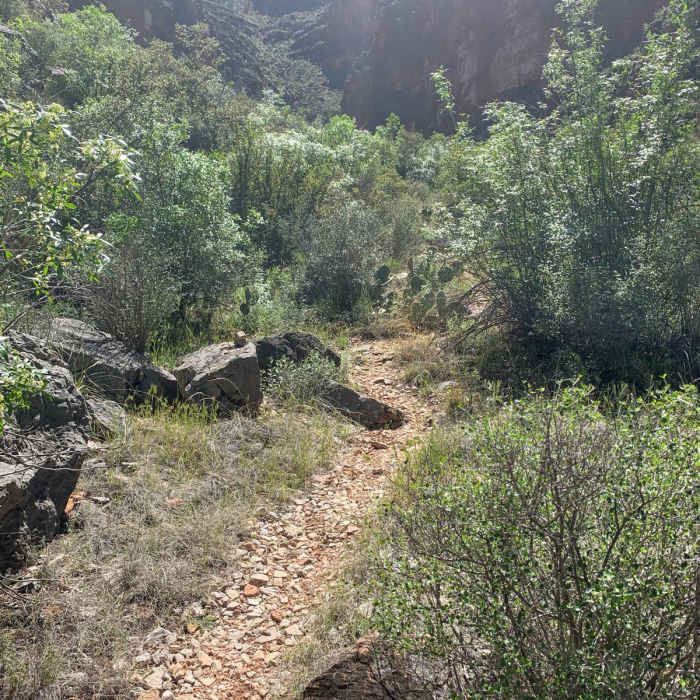 Near South Bass Trail