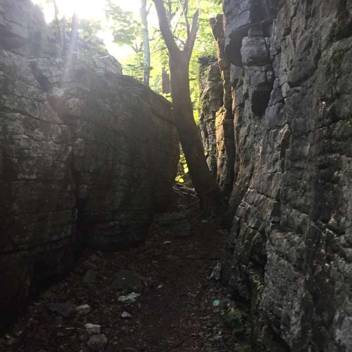 Near Stone Cuts to Golan Heights Loop