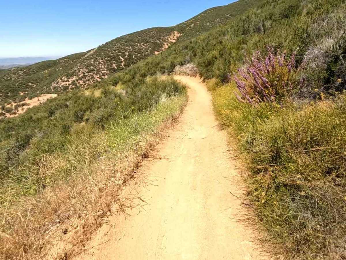 Flat OHV Trail photo 3