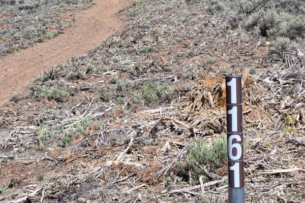 Mill Creek Trail - FS 41161