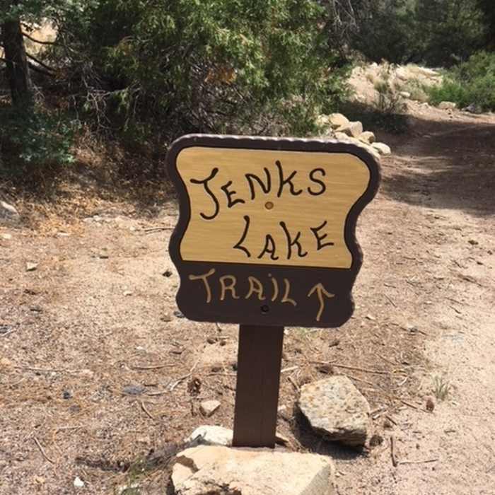 Near Jenks Lake Trail #1E20