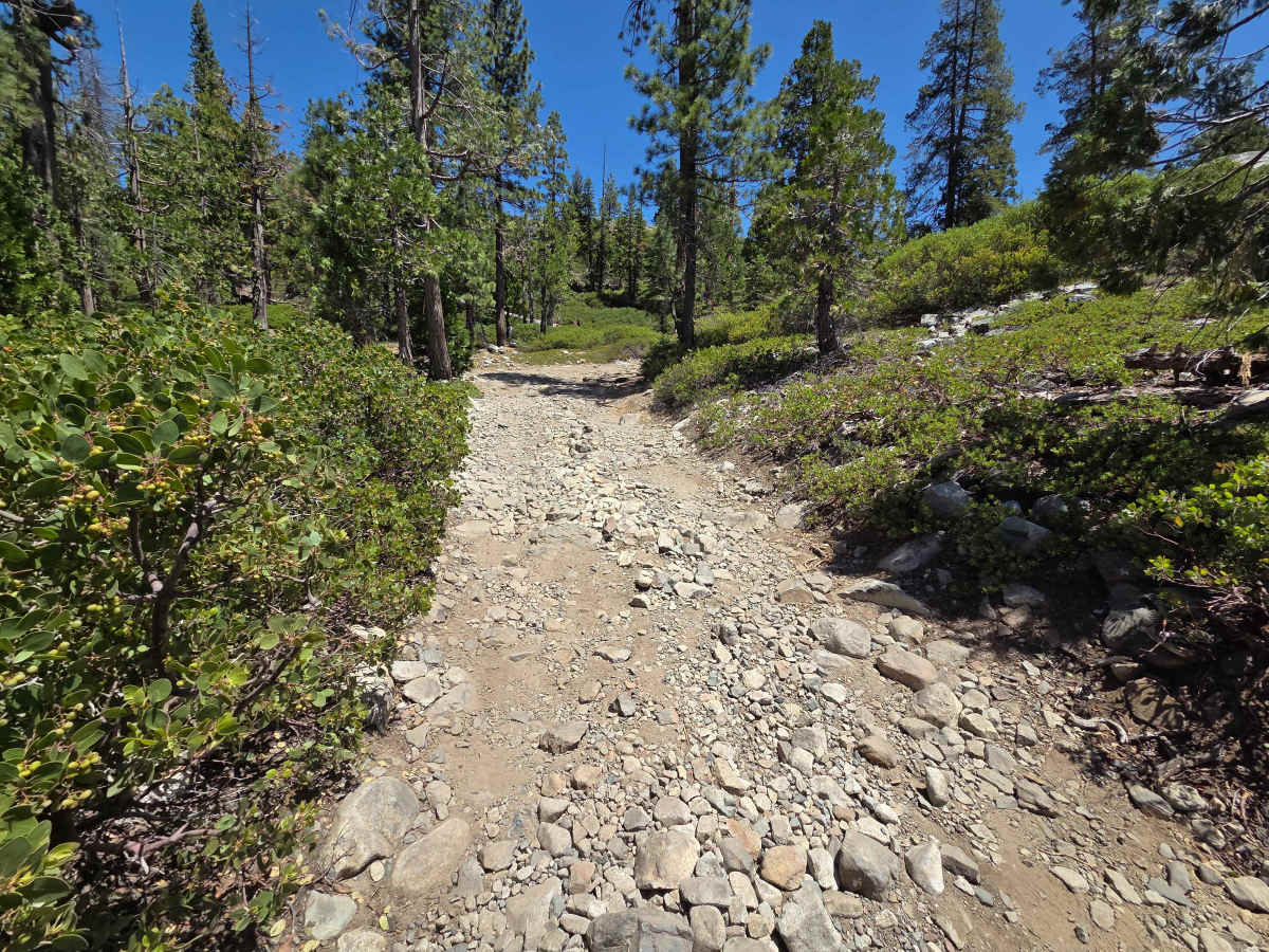 Sawmill Lake photo 4
