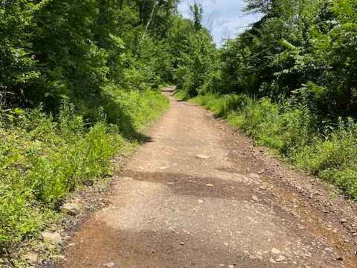 Indian Creek photo 6