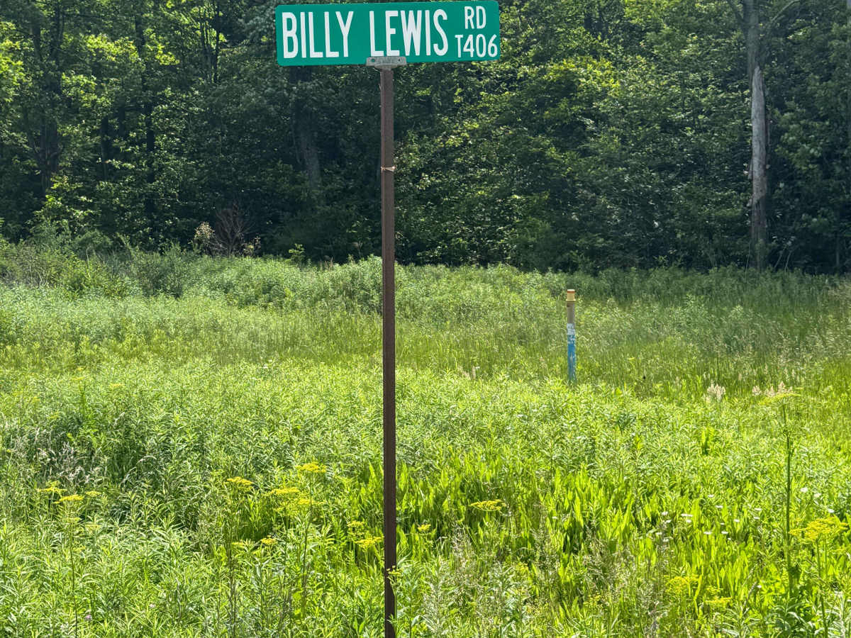 Billy Lewis Road trail photo