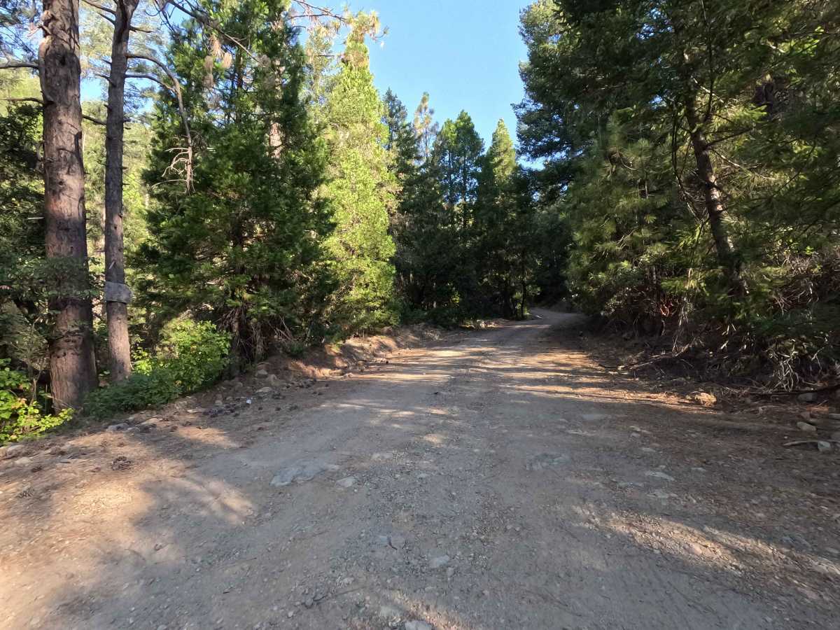 Upper Shotgun Road photo 6