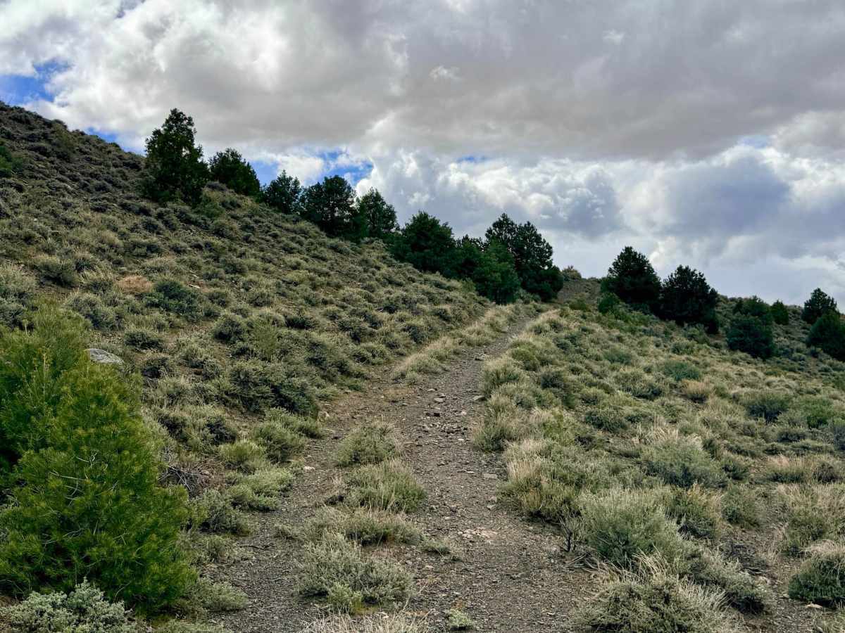 Clipper Gap Canyon - FS 43286 photo 5