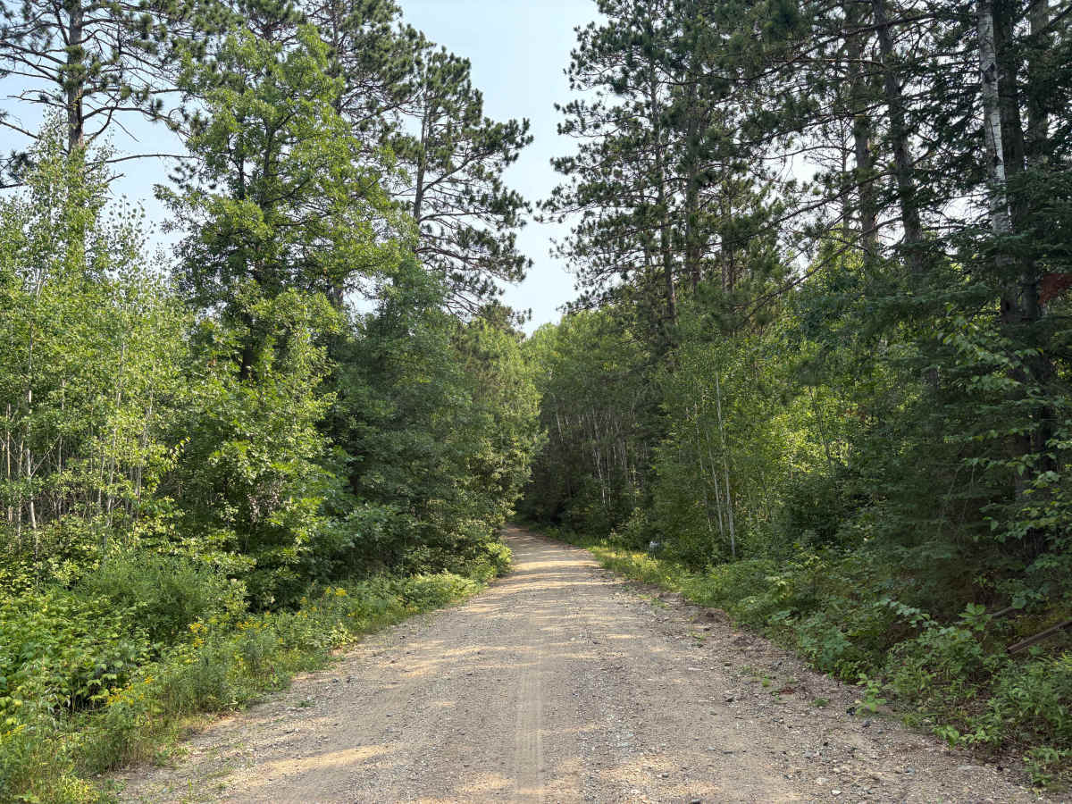 North Two Inlets Forest Road photo 2