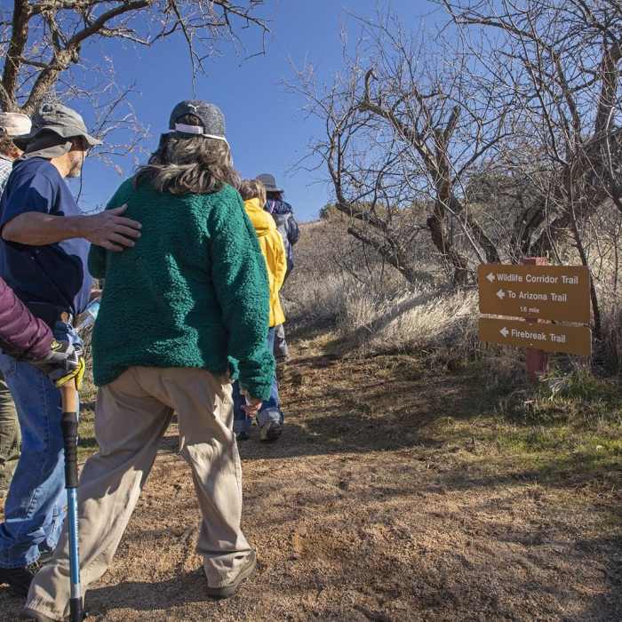 Near Wildlife Corridor Trail