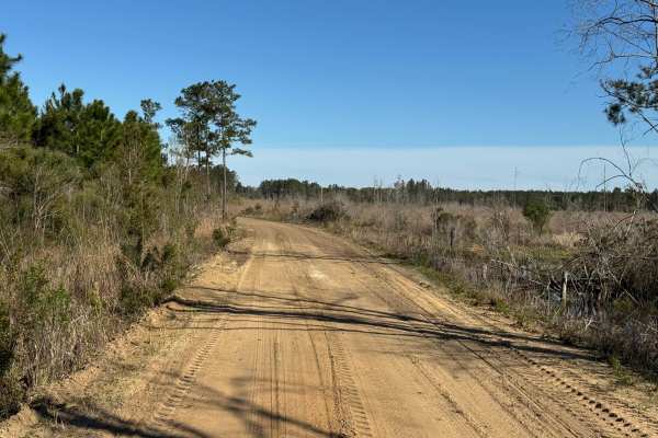 Sawgrass Road