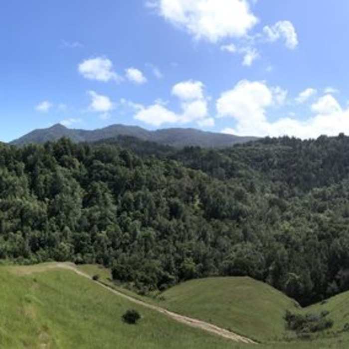 Near Phoenix Lake Loop