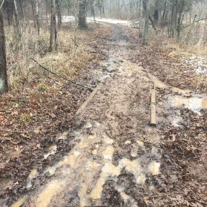 Near Seneca Bluff Trail