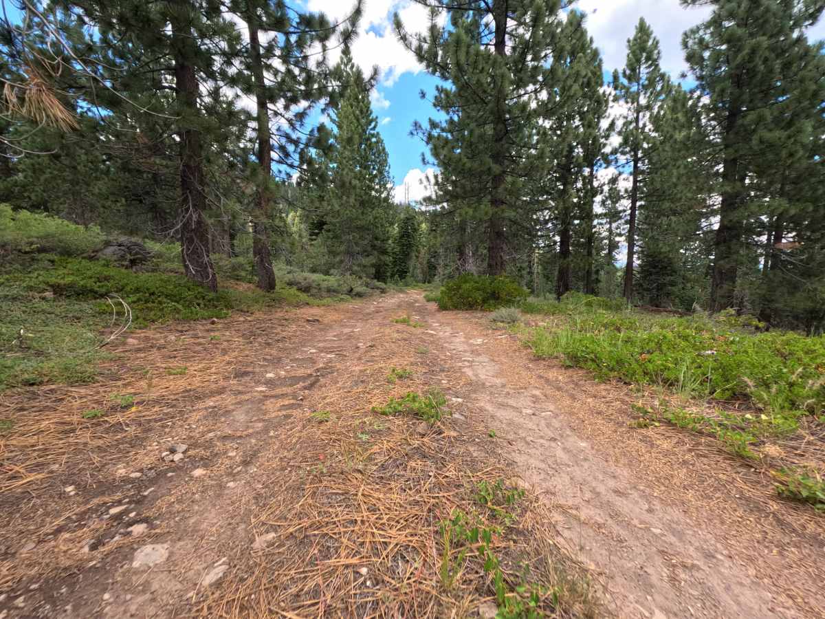 Pole Creek Spur - FS 5708 photo 5