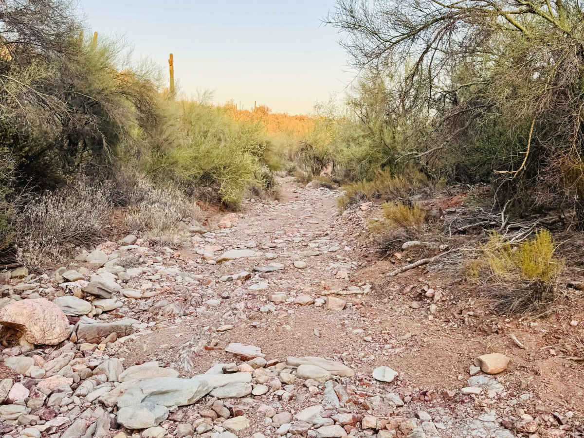 Hidden Wash trail photo