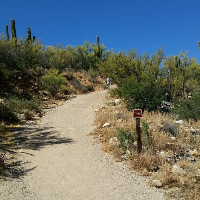 Near Sutherland Trail #6