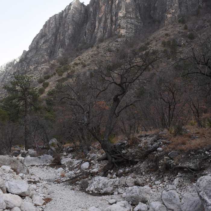 Near Devil's Hall Loop Near Devil's Hall Loop