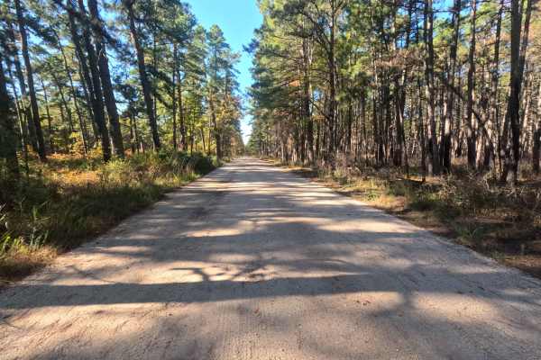 Friendship Speedwell Road