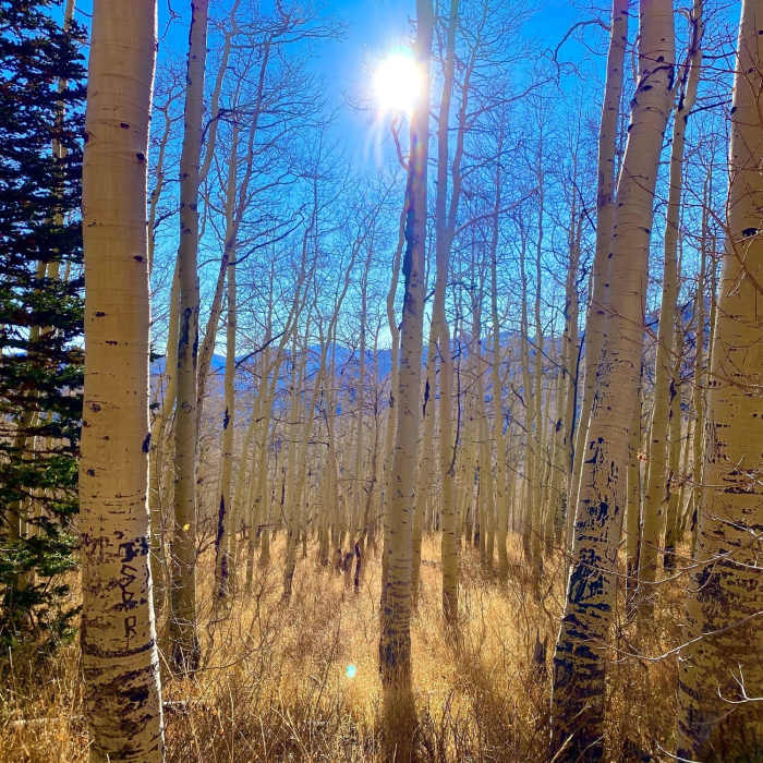 Near Mount Raymond Summit Trail