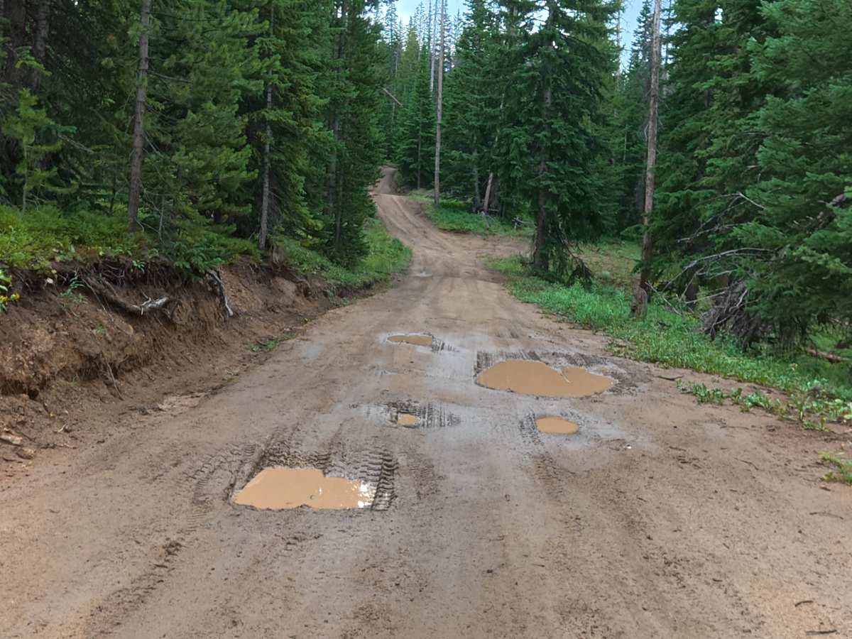 Bockman Road photo 5