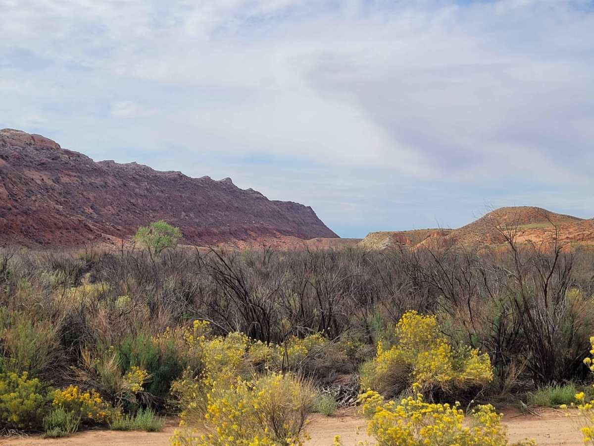 Comb Wash Road photo 5