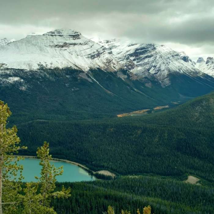 Near Paget Lookout Trail