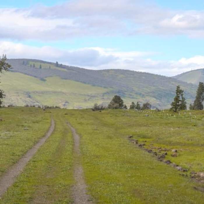 Near Chenoweith Tableland Loop