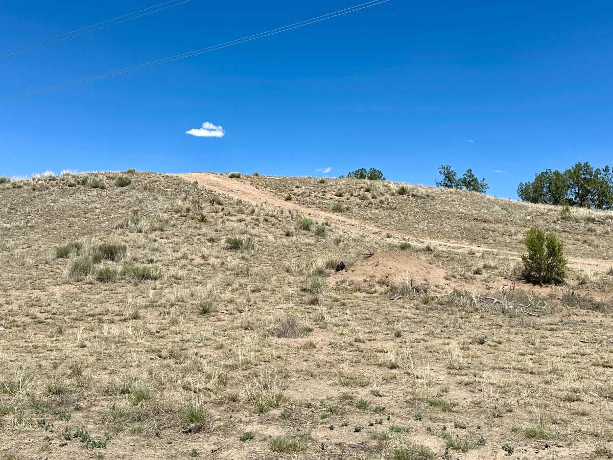 Little Hill photo 3
