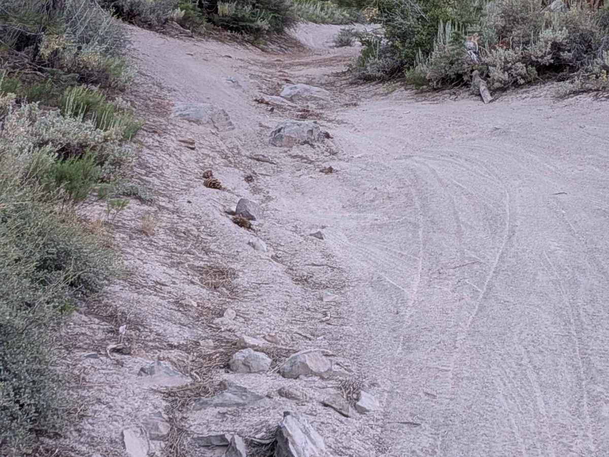FS3S33A/FS3S33D trail photo