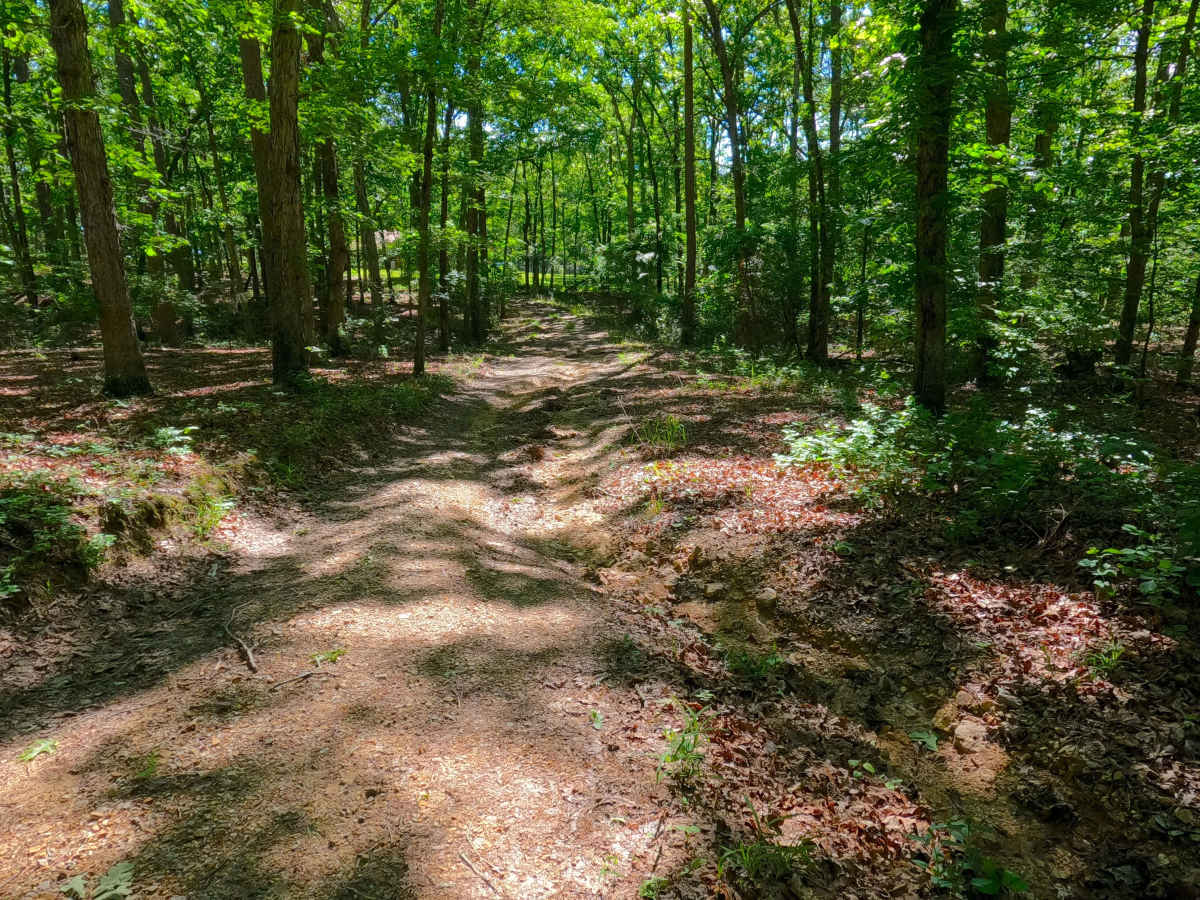 Gobbler Hollow - FS 3713 photo 6
