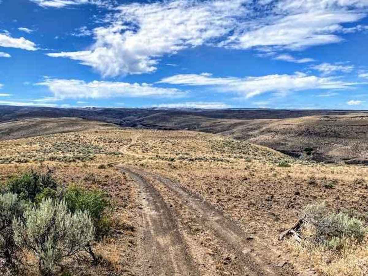 Jackknife Ridge Road photo 2