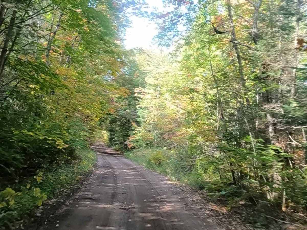 Caffey Truck Trail (ORV Route AI)  photo 4