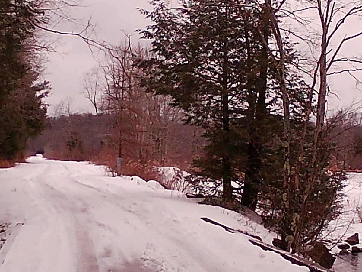 Mountain Spring Road photo 5