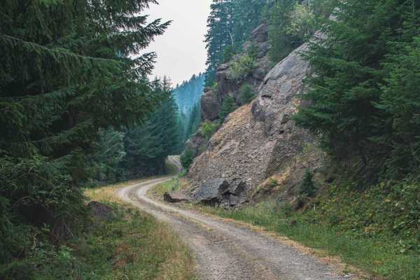 Trapper Creek