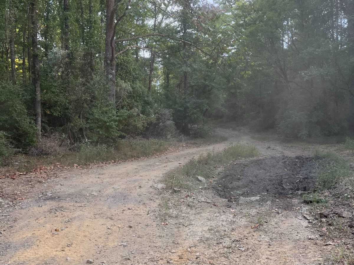 Pallet Trail photo 2