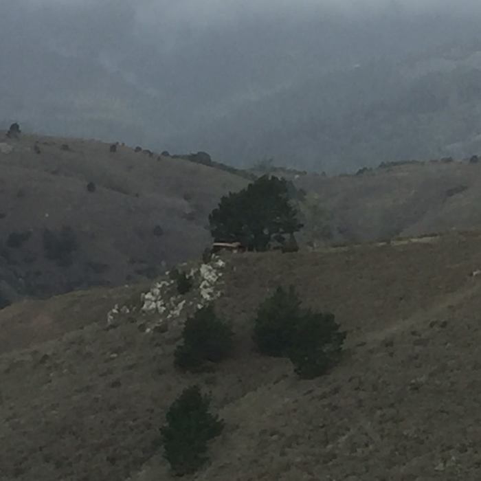 Near Middle Green Gulch Trail
