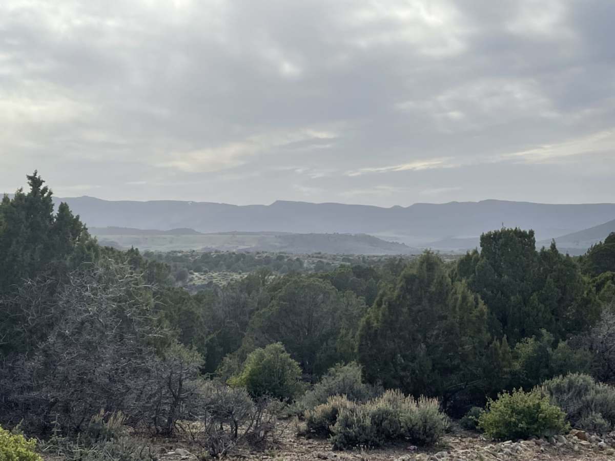 Twin Spring to Town trail photo