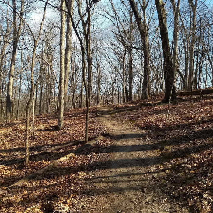 Switchback headed uphill Near Turtle Bob's Trail