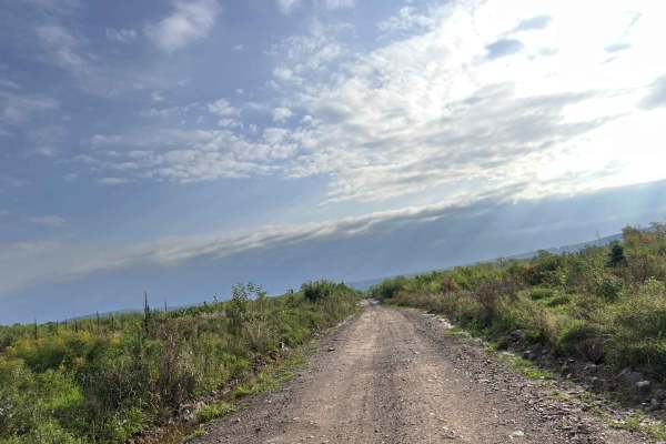 Trail P - FDR 655