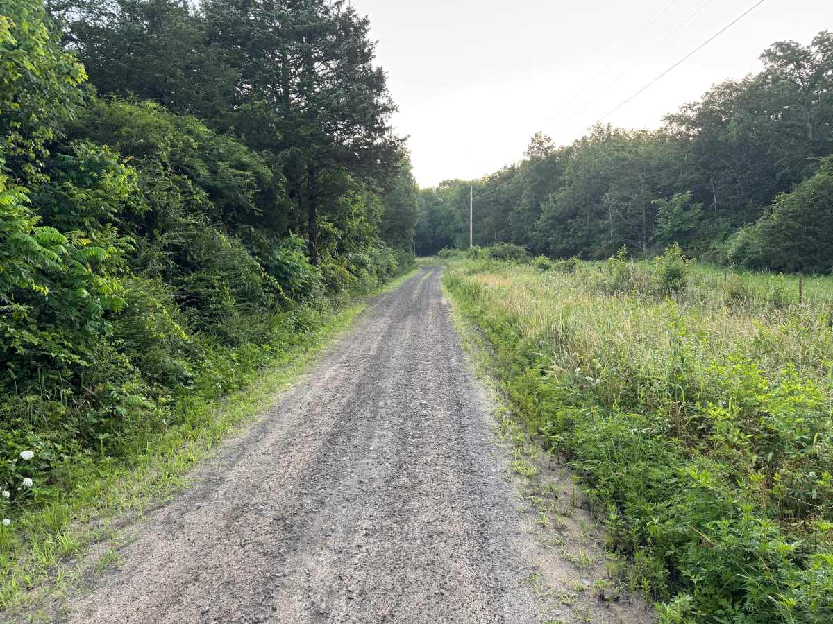 County Road 5501 photo 3