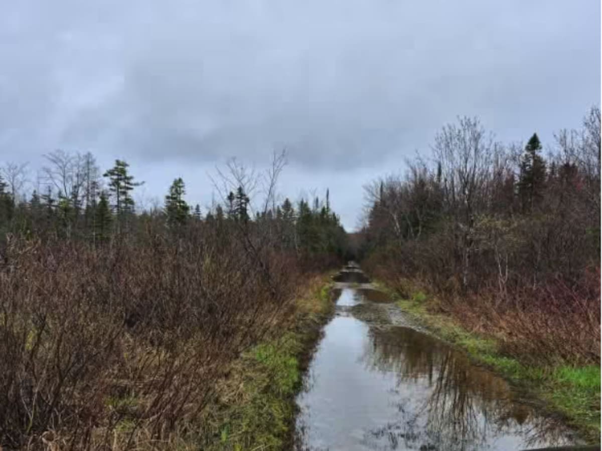 Glenfield and Western Railroad Corridor photo 5
