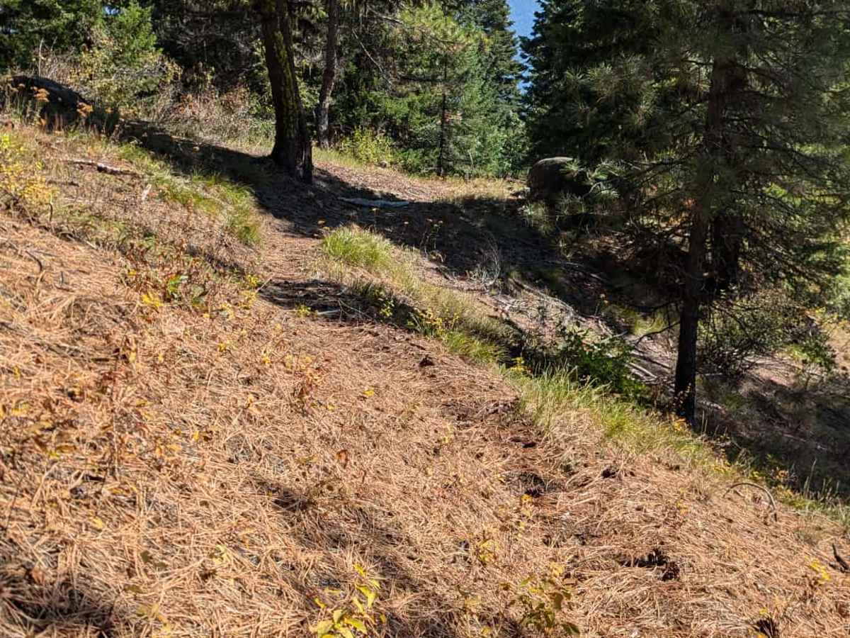 Fish Butte photo 6