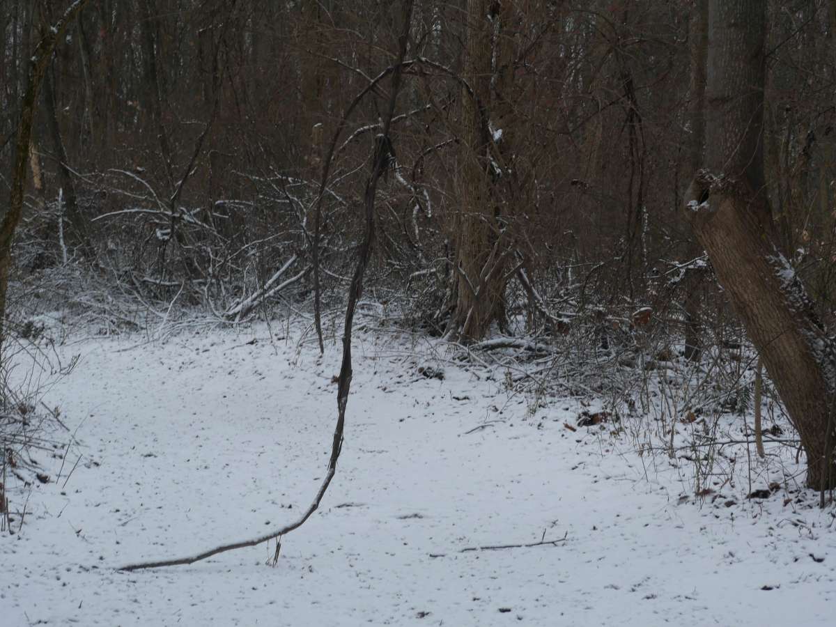 Trail 55 photo 3