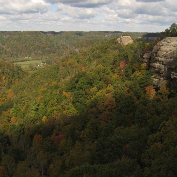 Near Auxier - Courthouse Loop
