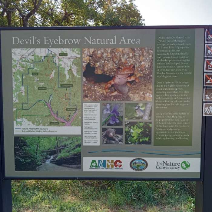 Near Devil's Eyebrow Trail