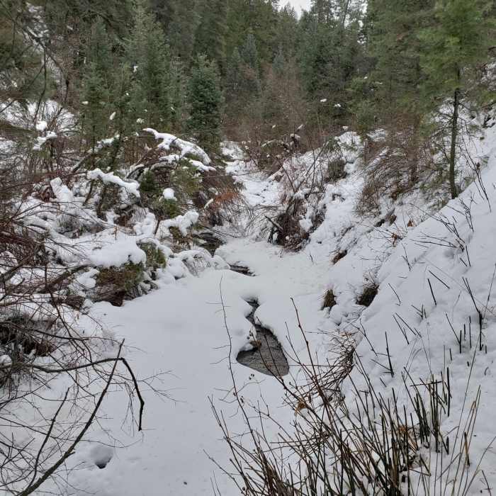 Near Wheeler - Icebox - Art Nord Loop