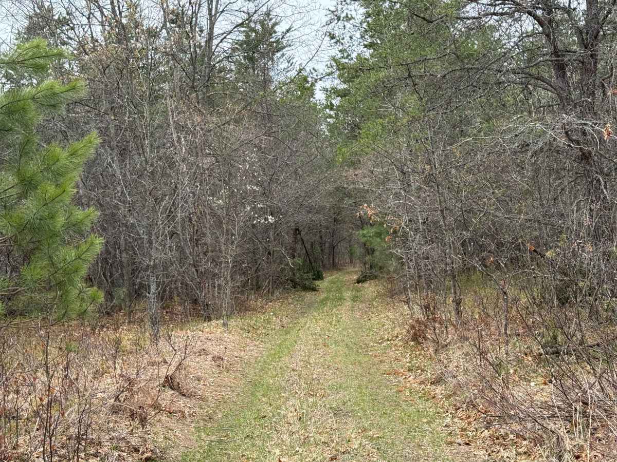 Wandering Trail trail photo