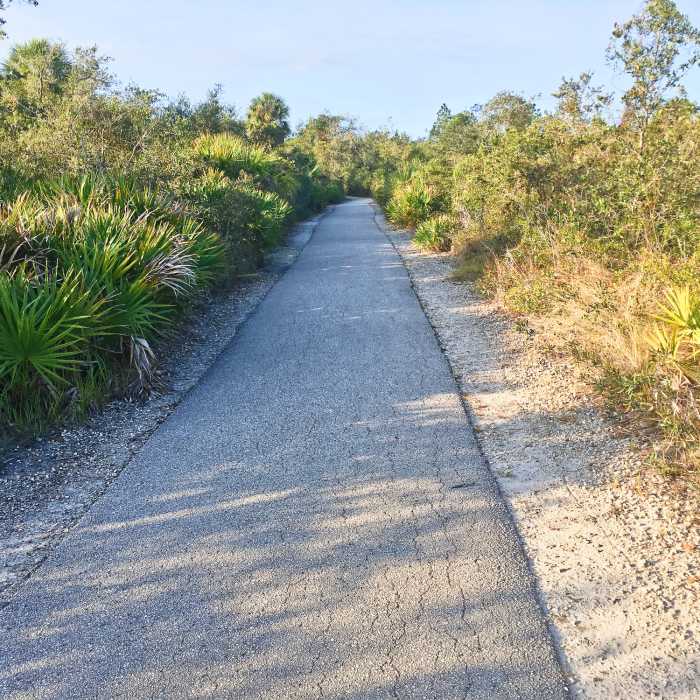 Near Weedon Island Preserve Route